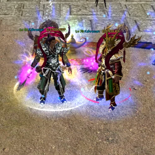  SUNUCUNUN EN ELİT ELİTEBUFF HESAPLARI 16.000 TL